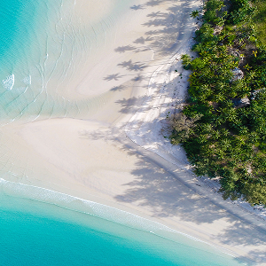Caribbean & Bahamas