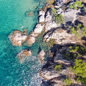 Mediterranean